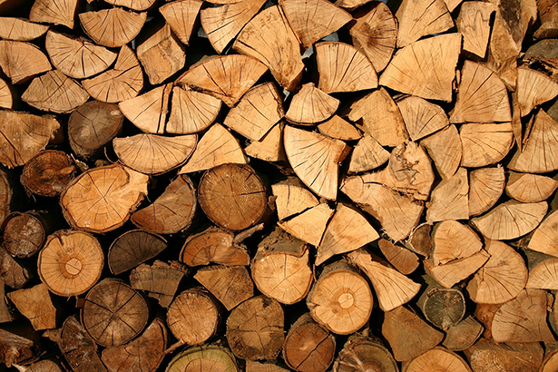 Forest products industry trends